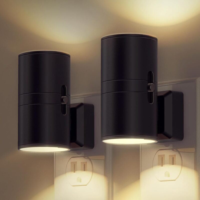 The LuminaGuard Dusk-to-Dawn Sensor Light