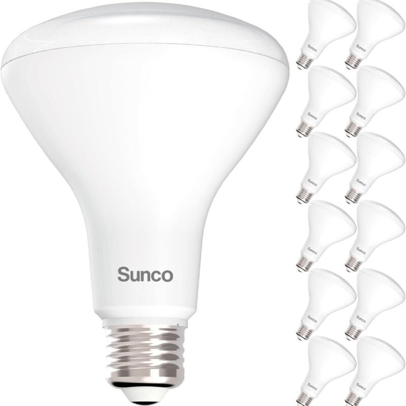 The Recessed Brilliance BR30 | 12-Pack Value Set